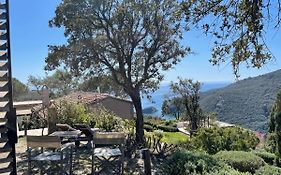 Villa Il Fico, Isola d'Elba, piscina e aria condizionata
